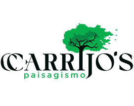 cliente06